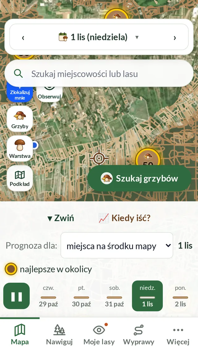 Mapa z osią dni na dole: zaznaczony kolejny dzień i kółka z liczbami warunków nad lasami.