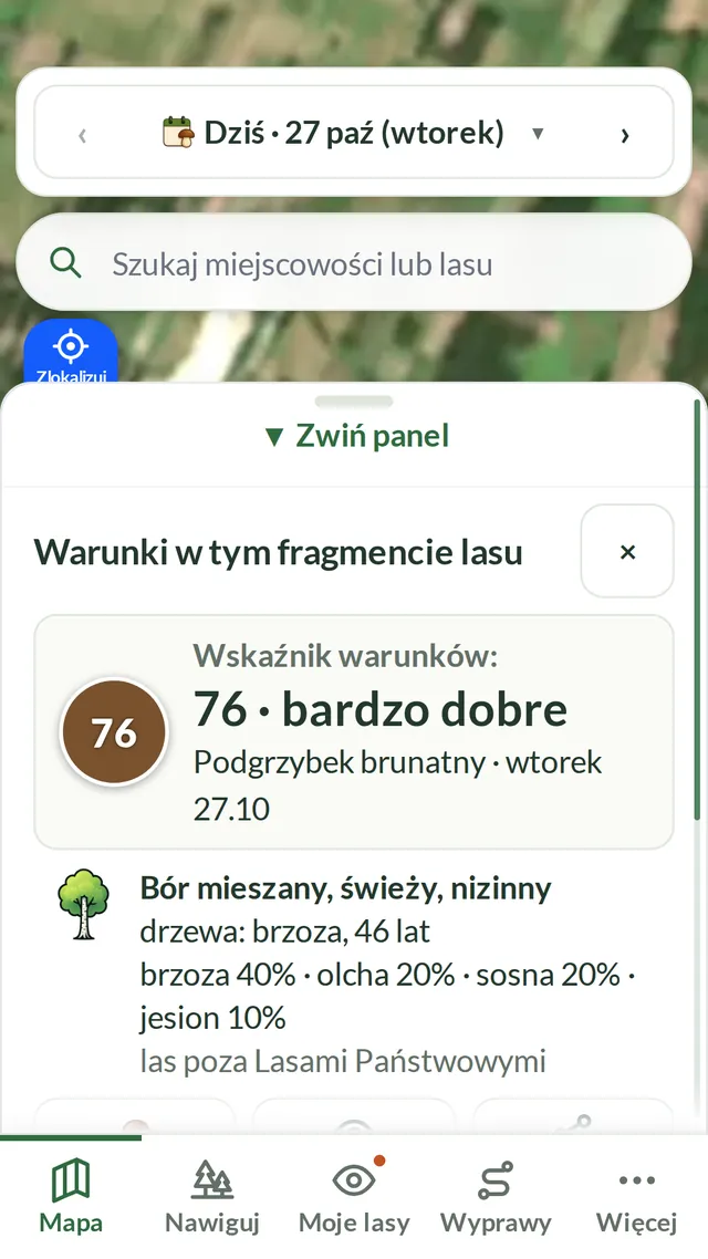 Karta fragmentu lasu: wskaźnik warunków 76 — bardzo dobre, bór mieszany, brzoza, olsza i sosna.
