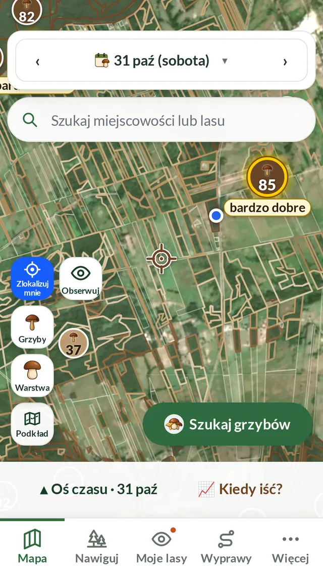 Aplikacja Borowikowa: mapa lasów na zdjęciu satelitarnym, na niej brązowe kółka z liczbami, np. 85 — bardzo dobre.