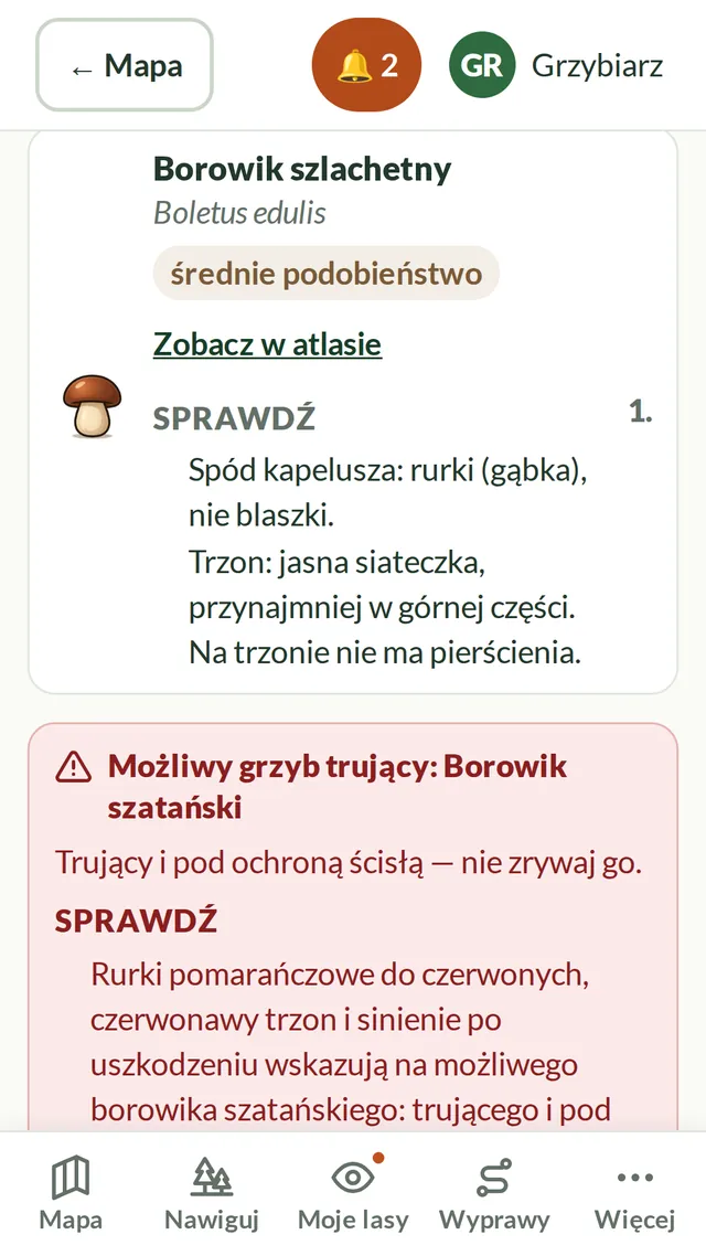Wynik podpowiedzi ze zdjęcia: przypomina borowika szlachetnego, z ostrzeżeniem o możliwym sobowtórze — borowiku szatańskim.